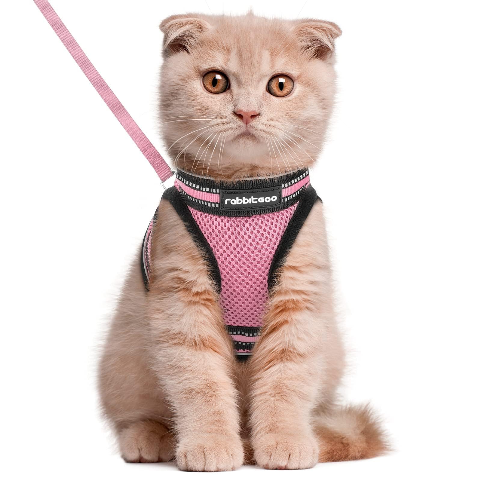 rabbitgoo Cat Harness and Leash Set for Walking Escape Proof, Adjustable Soft Kittens Vest with Reflective Strip for Cats, Comfortable Outdoor Vest, Black, Small — view 28
