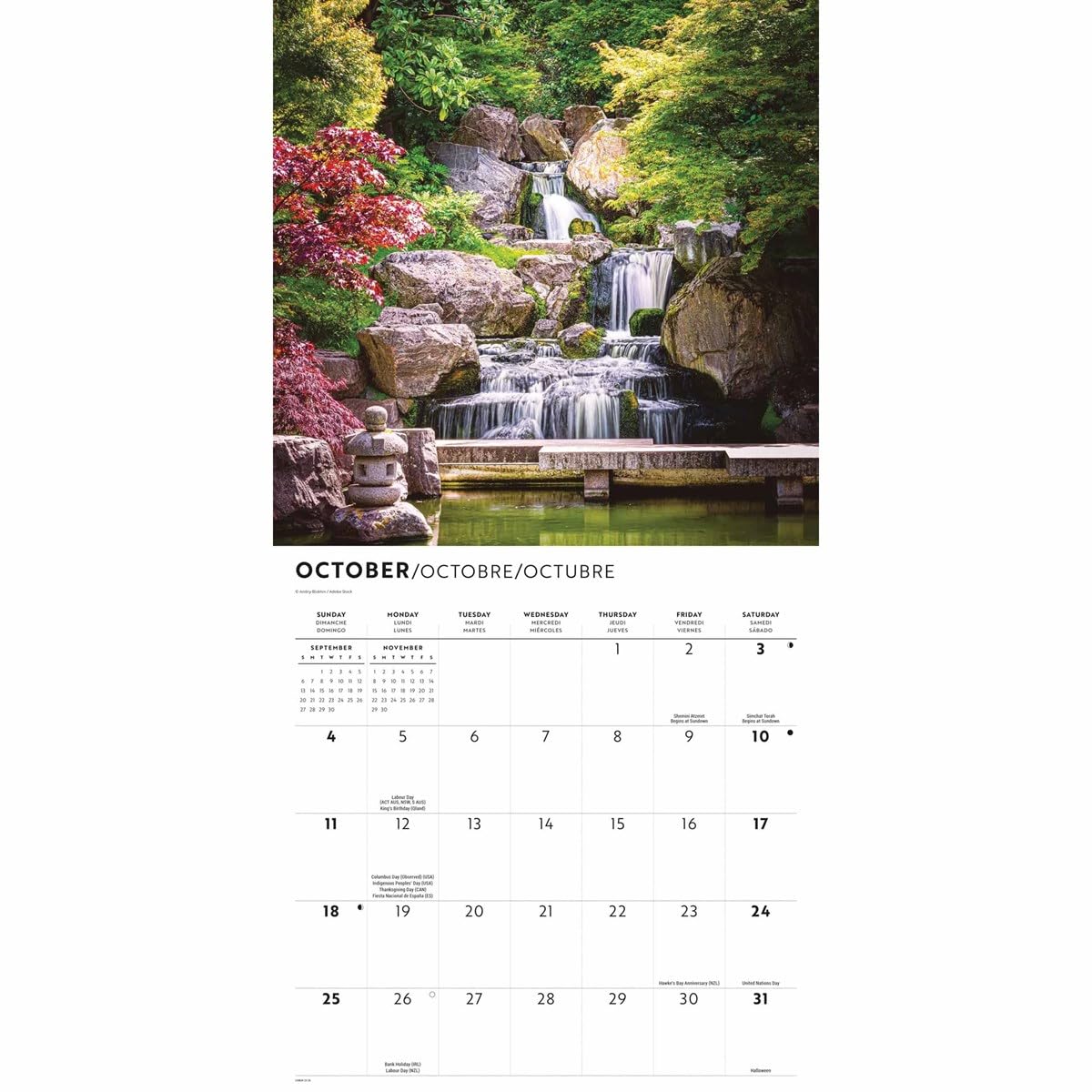 Carousel Calendars, Kalendarz ścienny In the Garden 2026, 30 x 30 cm, 16-miesięczny kalendarz z zszywanym wiązaniem