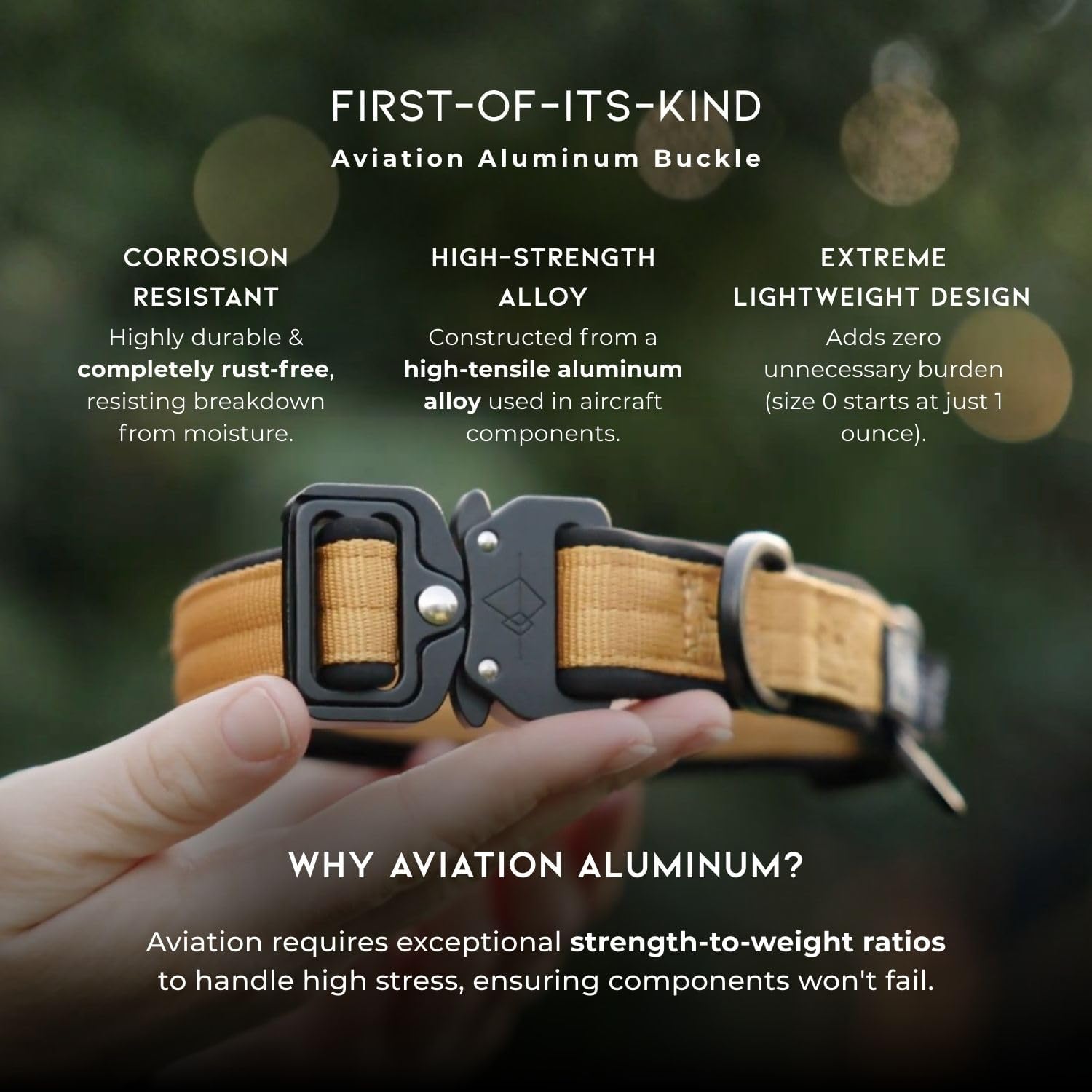 MADE TO ROAM Comfort Collar - Adjustable Nylon Dog Collar with Soft Comfortable Padding, Light Aviation Aluminum Metal Buckle for Small, Medium and Large Dogs (Maine Marina, Size 5)