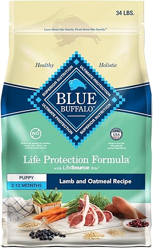 Blue Buffalo Life Protection Formula Natural - Alimento seco para cachorros, cordero y avena, 34 libras