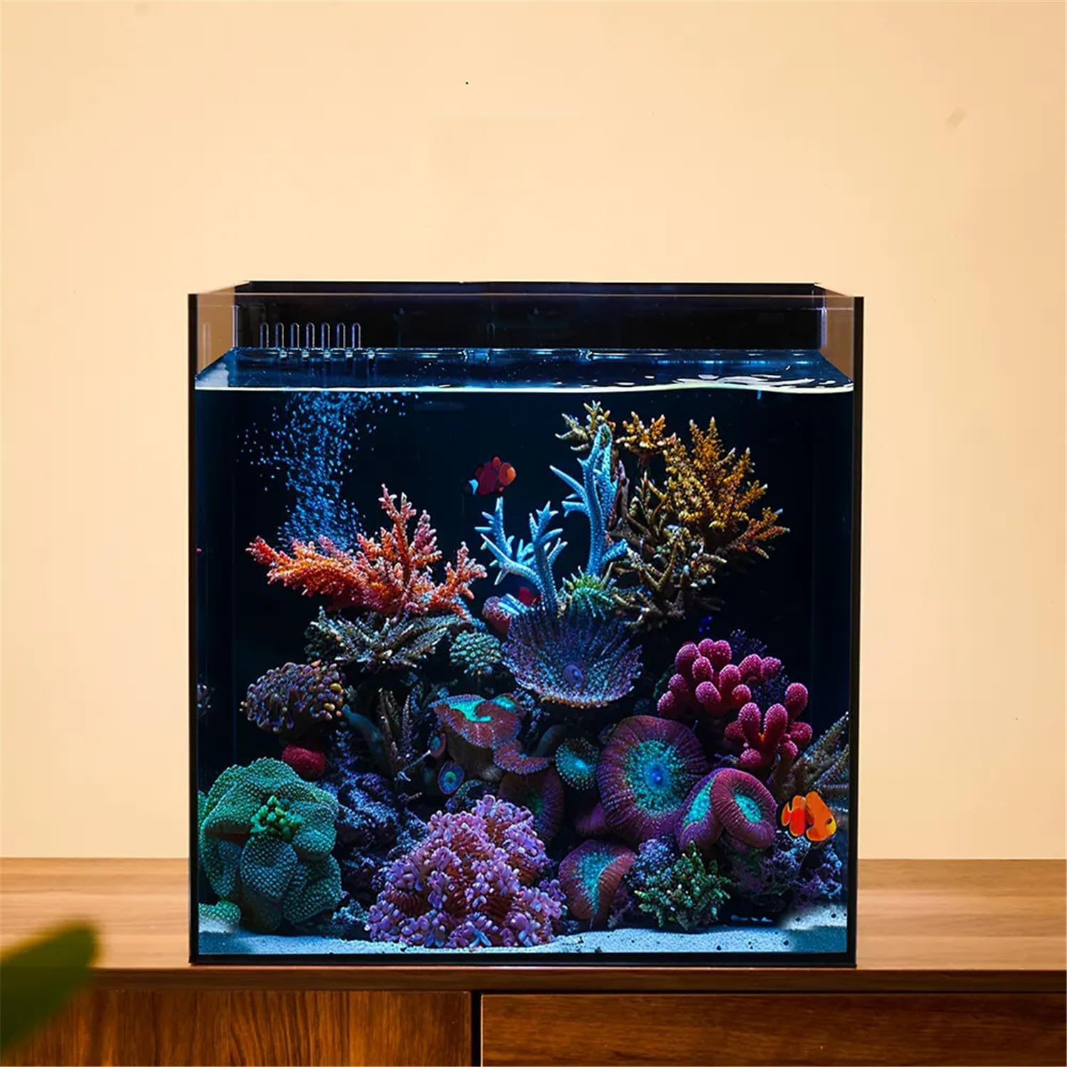 Piccolo acquario ultra trasparente ad alta trasparenza da scrivania in vetro senza cornice ispirazione sudamericana entry-level Fish Tank