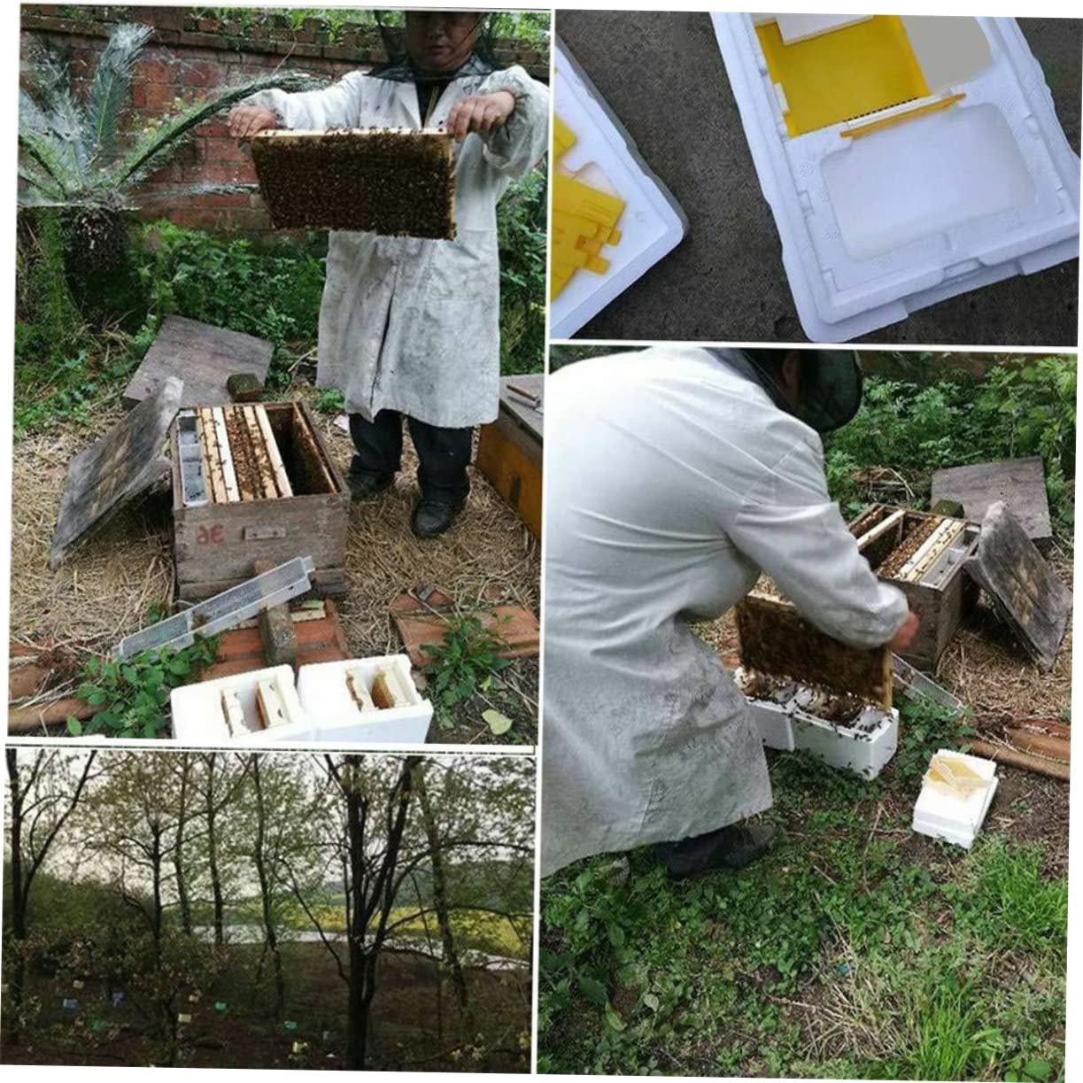 Hemobllo Bee Mating Box Per Apicoltura Strumento Pratico Per Allevamento Accessorio Per Beekeeping Flessibile e Facile Da Usare