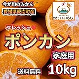 愛媛県愛南町産 フレッシュな風味の ポンカン 10kg家庭用