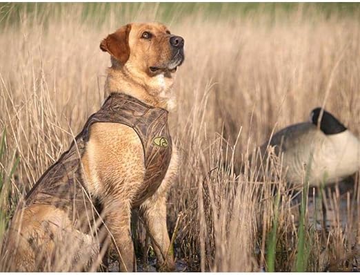 avery neoprene dog vest