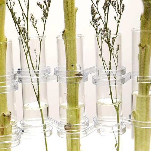 Miniatura 2 de DOITOOL Jarrón de tubo de ensayo, 8 piezas, tubo de ensayo de vidrio, terrario, florero de vidrio transparente, maceta decorativa de tubo de ensayo,