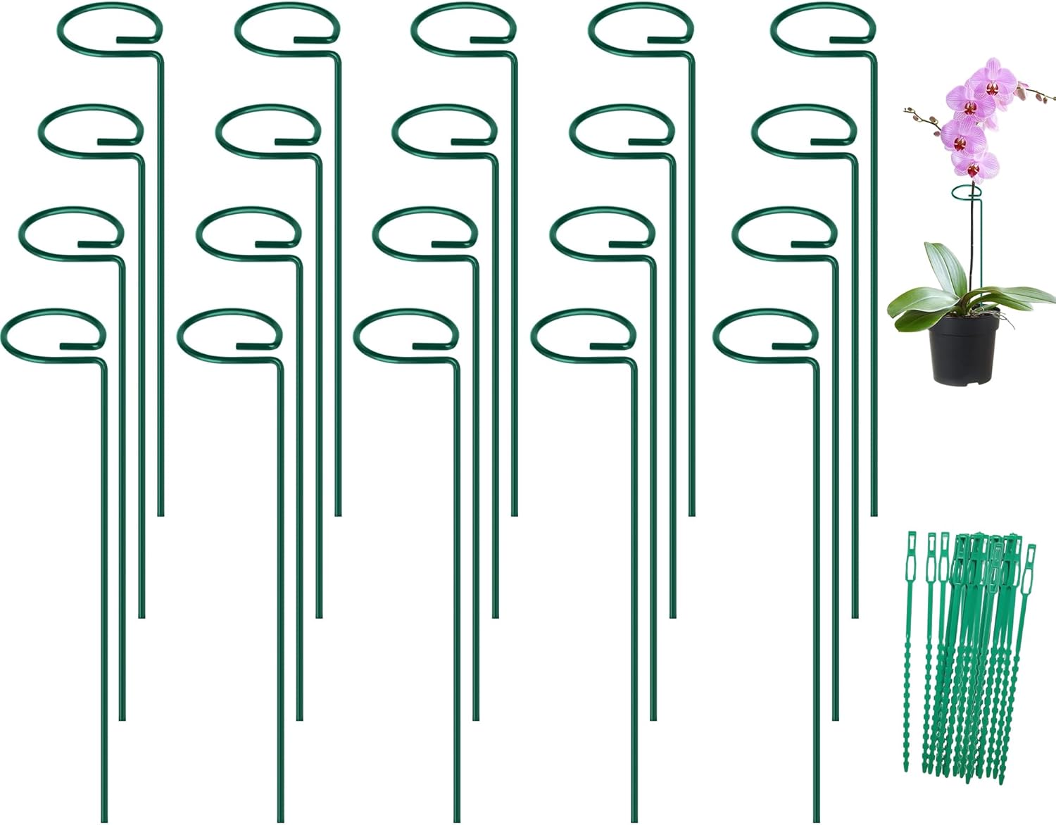 FEED GARDEN 16 Inch 20 Pack Plant Support Stakes, Metal Garden Flower Stakes and Supports for Outdoor Plants, Plant Stem Support with 40 Twist Ties for Amaryllis Lily Rose Peony Tomatoes Gladiolus