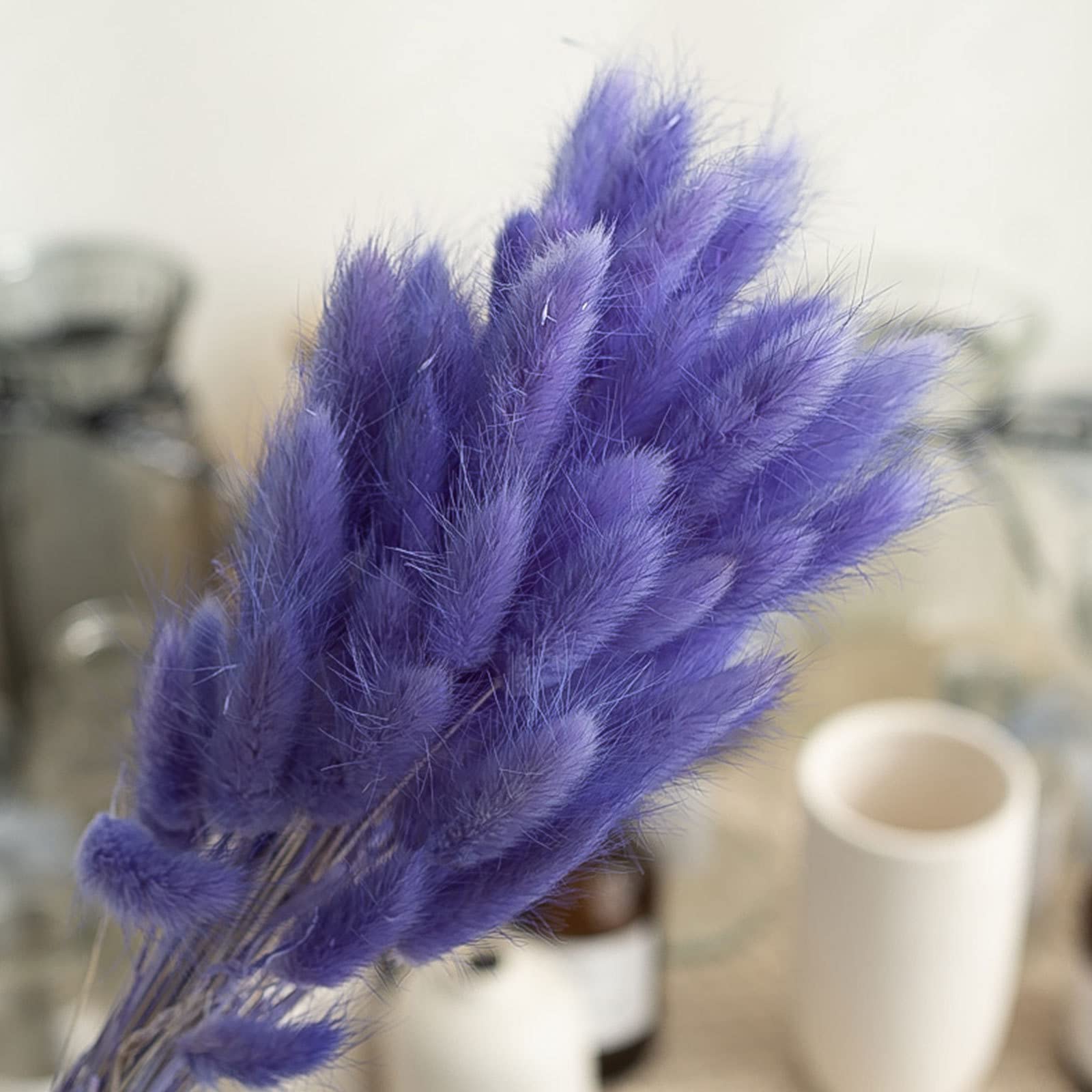 120 tiges d'herbe de Queue de Lapin séchée Naturelle Herbe de Pampa séchée Naturelle de 22 pouces/60 cm Lagurus Ovatus pour la décoration bohème,Purple