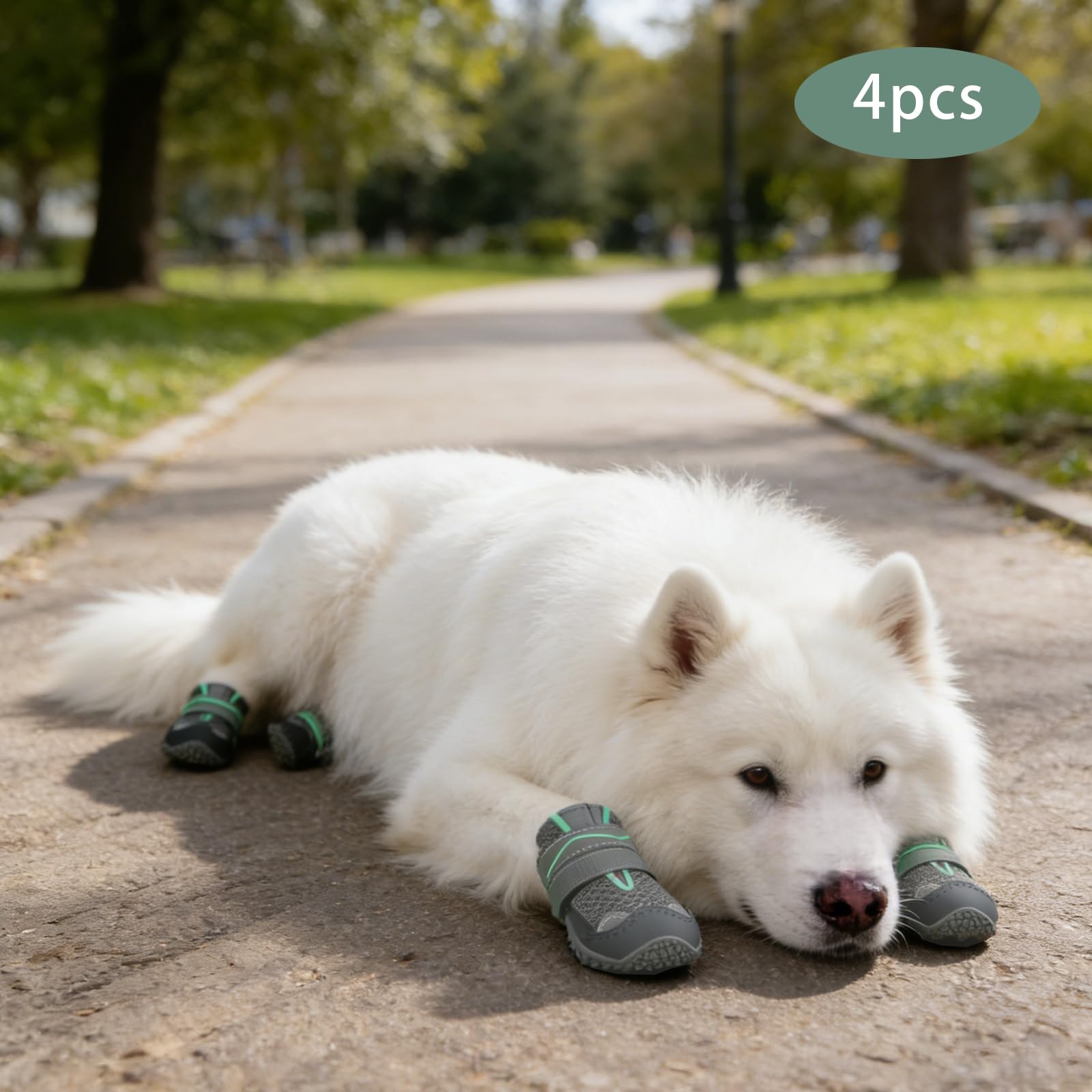 Calzini antiscivolo per cani, scarpe da cane, 4 pezzi, 5,5 cm | Stivali Cane,Poliestere Pelle Gomma,con Strisce Riflettenti Traspirante,Per Passeggiata,Cani Piccoli,Cani Medii
