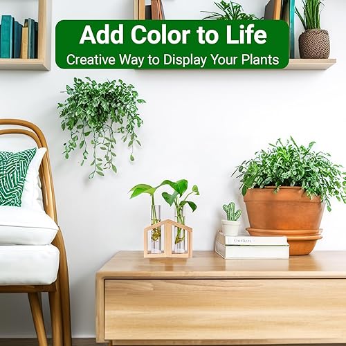 Miniatura 6 de Ivolador Estación de propagación de plantas, tubos de propagación de plantas, regalos para amantes de las plantas, soporte de corte de plantas