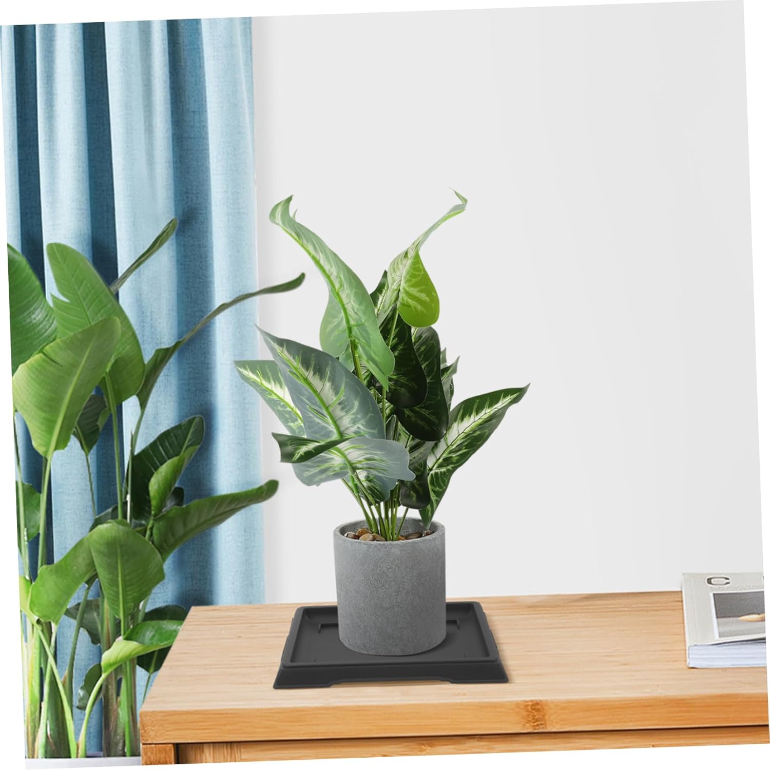 BESPORTBLE 20pcs Plant Saucer Tray Heavy Duty Plastic Drip Trays for Flower Pots Water Catcher for Indoor and Outdoor Use Prevents Water Damage and Stains