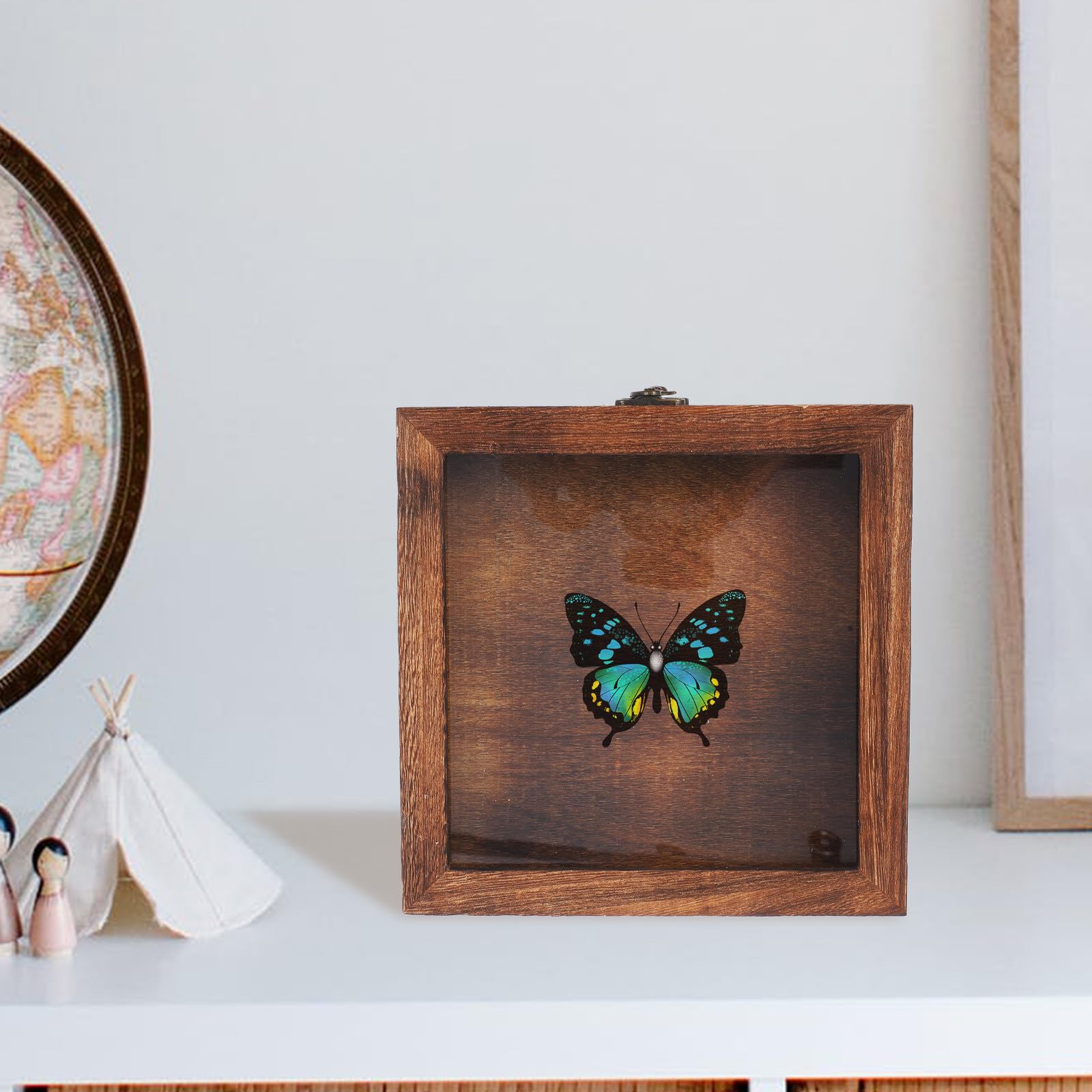 Insektenvitrine und Acryl im Retro Stil mit Großem Platz
