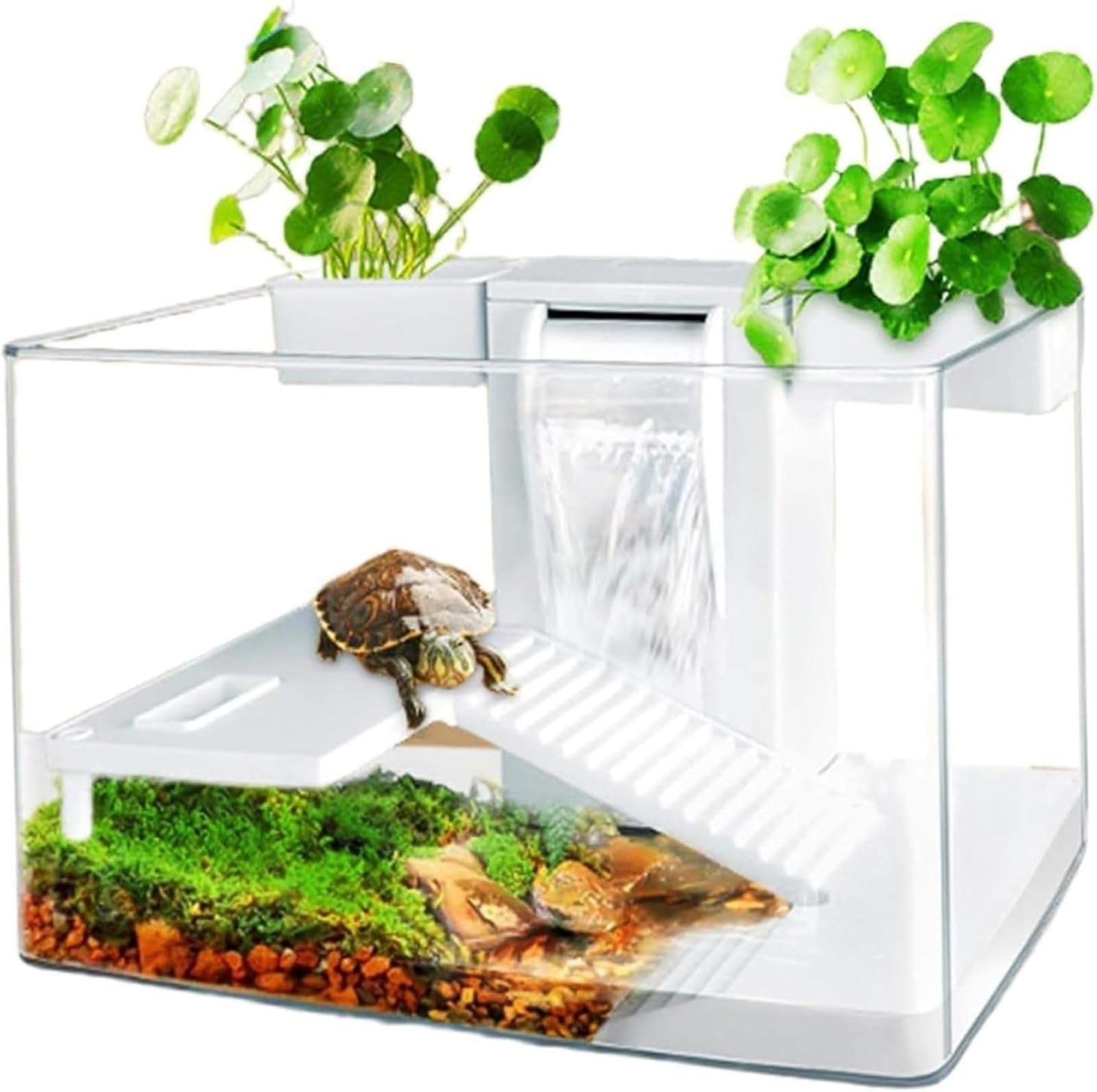 Aquarium, kit habitat per tartarughe con zona multifunzione e filtro acqua completo per tartarughe e animali acquatici, acquario per tartarughe con piattaforma di riposo, scatola di osservazione per