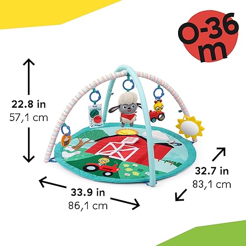 Miniatura 10 de Ingenuity Baby Einstein Farm Explorers Happy Harvest Touch & Feel Baby Play Gym & Mat con 5 juguetes extraíbles, más de 20 canciones y sonidos, a