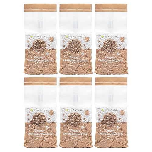 Tea Zone Chewy Tapioca Boba - Estuche 6 bolsas de 6 libras