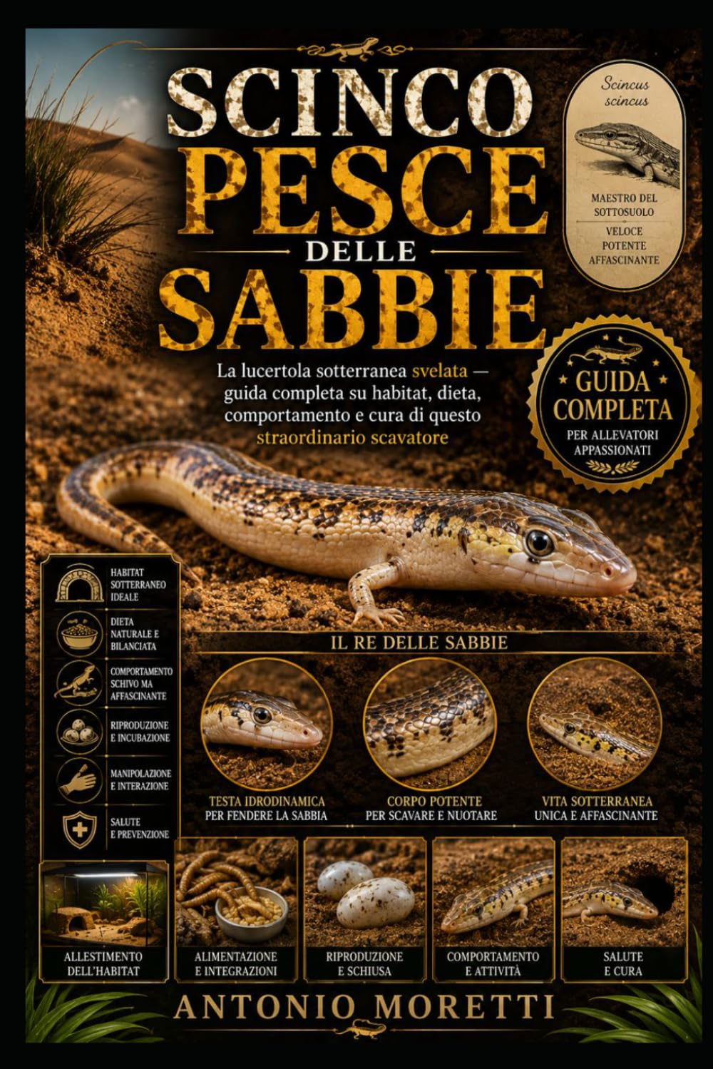 SCINCO PESCE DELLE SABBIE: La lucertola sotterranea svelata — guida completa su habitat, dieta, comportamento e cura di questo straordinario scavatore