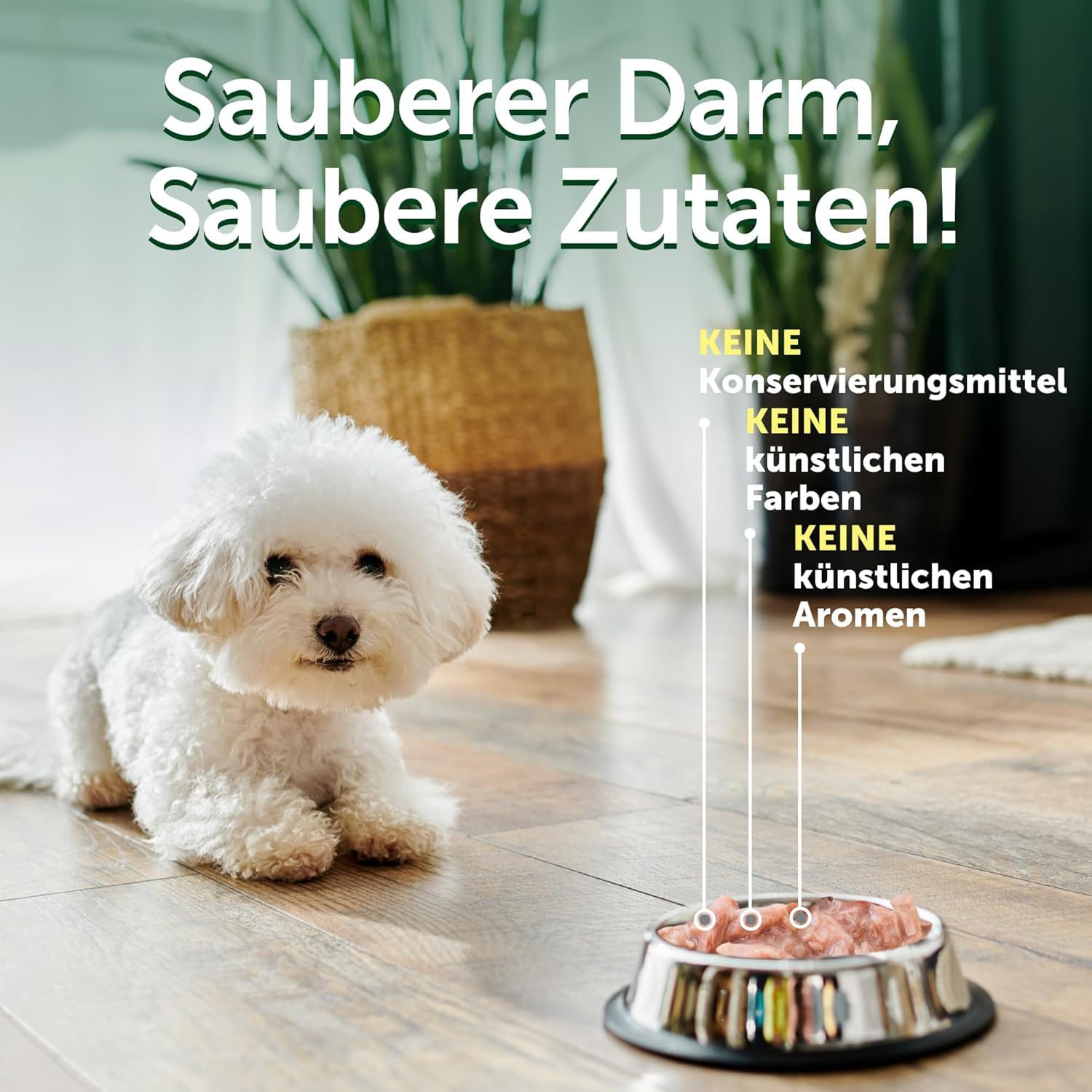 Nature’s Protection Superior Care Hundenassfutter mit Thunfisch & Lachs - Hundefutter ohne Getreide & hypoallergen - Für weiße erwachsene Hunde - Haut & Fellpflege - Reduziert Tränenflecken (24 x 70g)