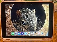 Review Image by littledevil1313