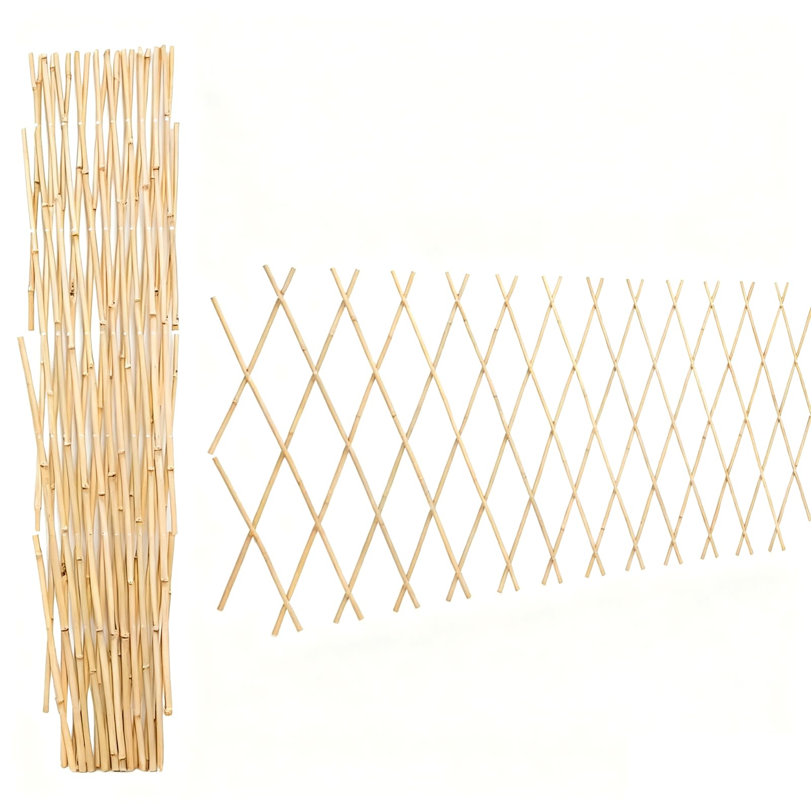 Bamboo Trellis 36x92