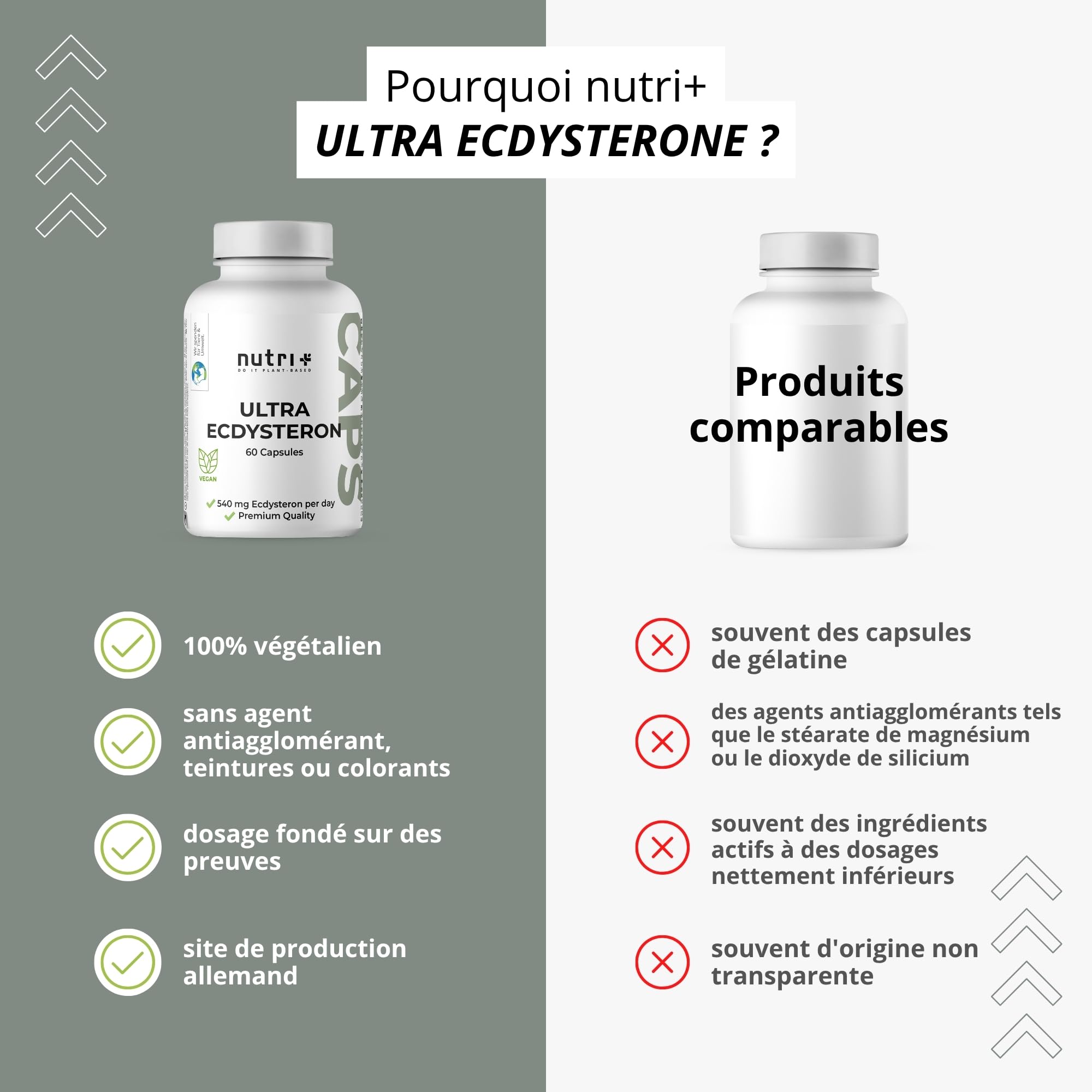 Nutri + Beta Ecdysterone Supplément hautement dosées + vegan - 540 mg par capsule - 90% beta-ecdysterone + L-Leucine - extrait de Stemmacantha Carthamoides - Fitness gelule