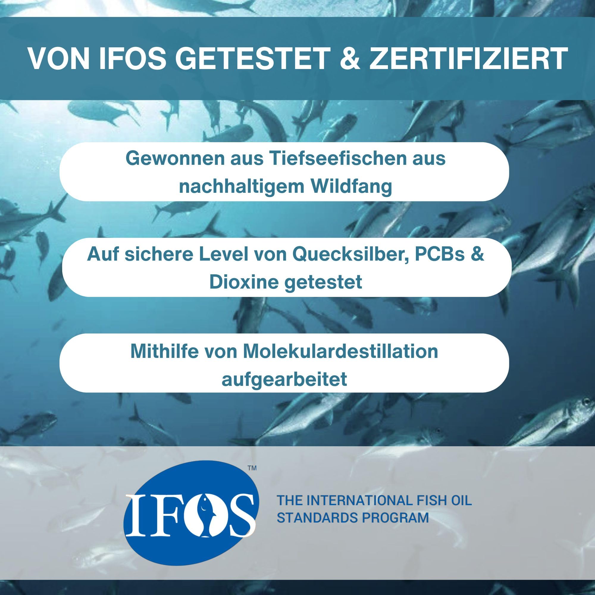 Igennus Hochwertigstes Omega-3 Wildfischöl 1360mg & Astaxanthin | Triglyceridform rTG, 1000mg EPA- und DHA-Fettsäuren, ultra rein; frei von Umweltgiften, Zitronengeschmack, 180 Weichkapseln