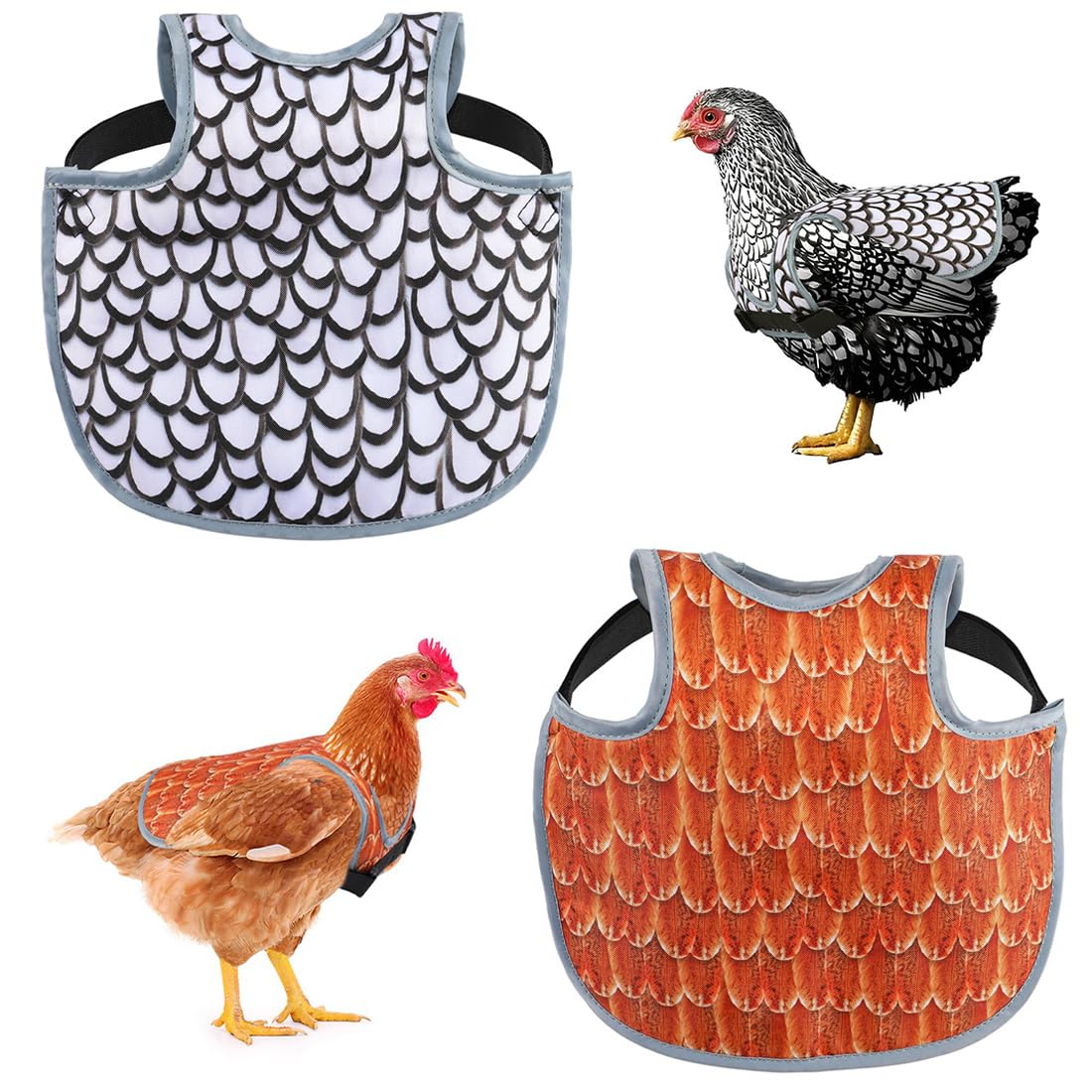 Hühnersattel Für Hennen - Wasserdichte Schutzweste Gegen Federpicken