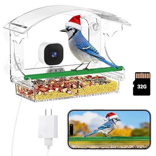 Dzees Window Bird Feeder with Camera, 2K HD Live Stream