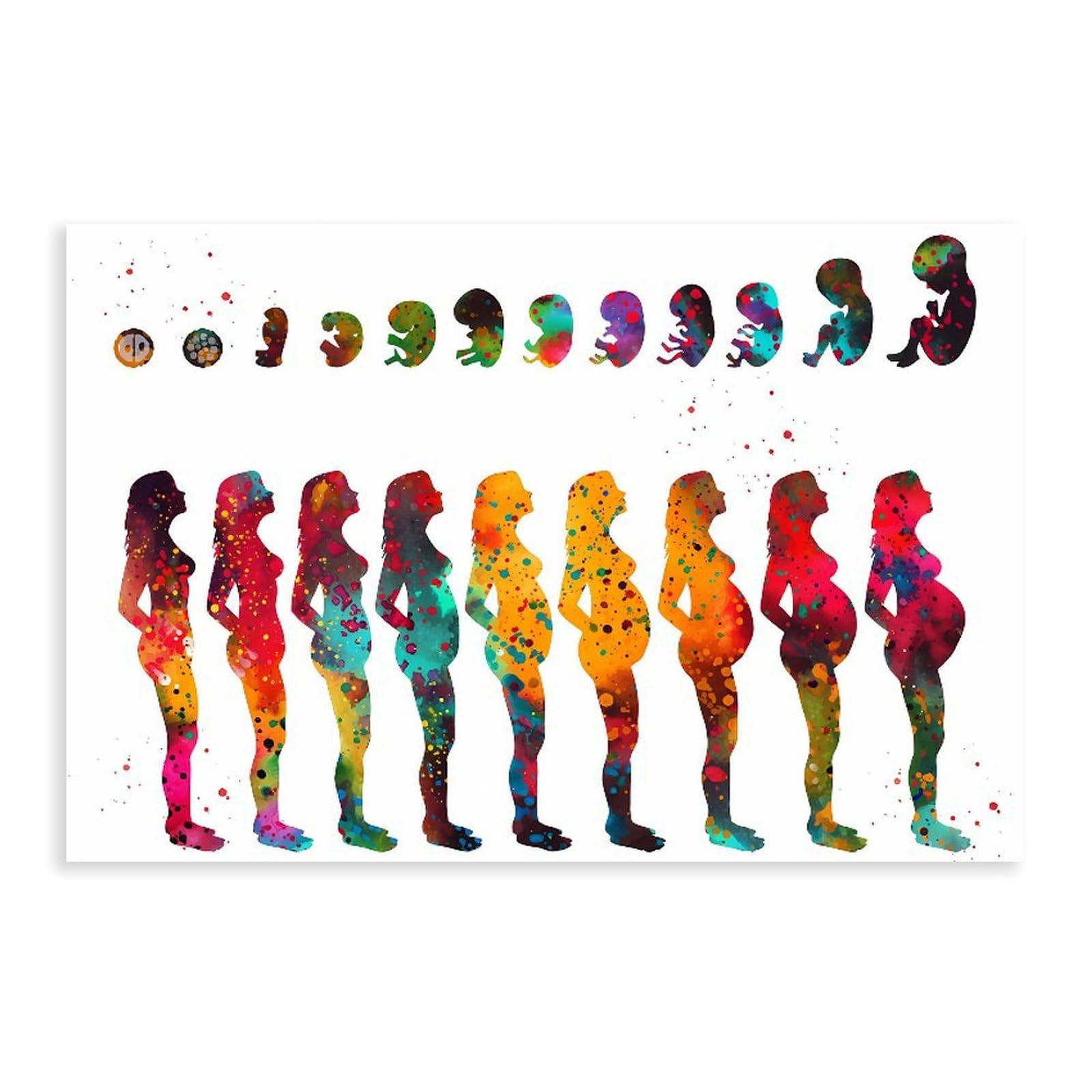 QNVJQKDSI Pregnancy Stages Art Canvas Poster Wall Art Decor Print Picture Paintings for Living Room Bedroom Decoration 24" L X 36" W