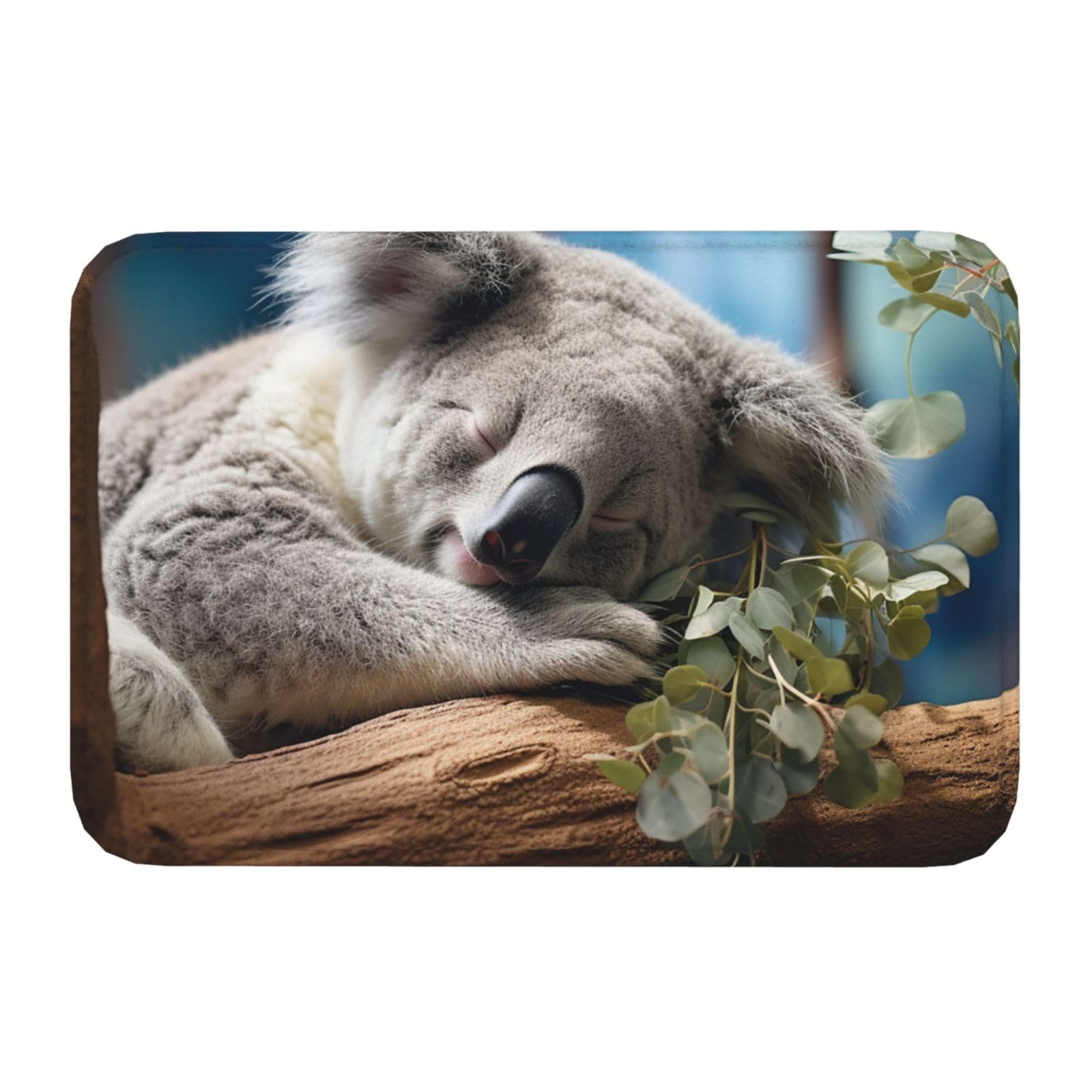 Paillasson D'entrée Intérieur Et Extérieur 40,6 X 61 Cm Antidérapant