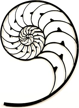 Colorfull Worlds Golden Ratio Metal Wall Art, Fibonacci Spiral Wall Decor, Nautilus Art Home and Office Decor Gift for New Year, Christmas or Housewarming 35,4" x 26,4" | Black