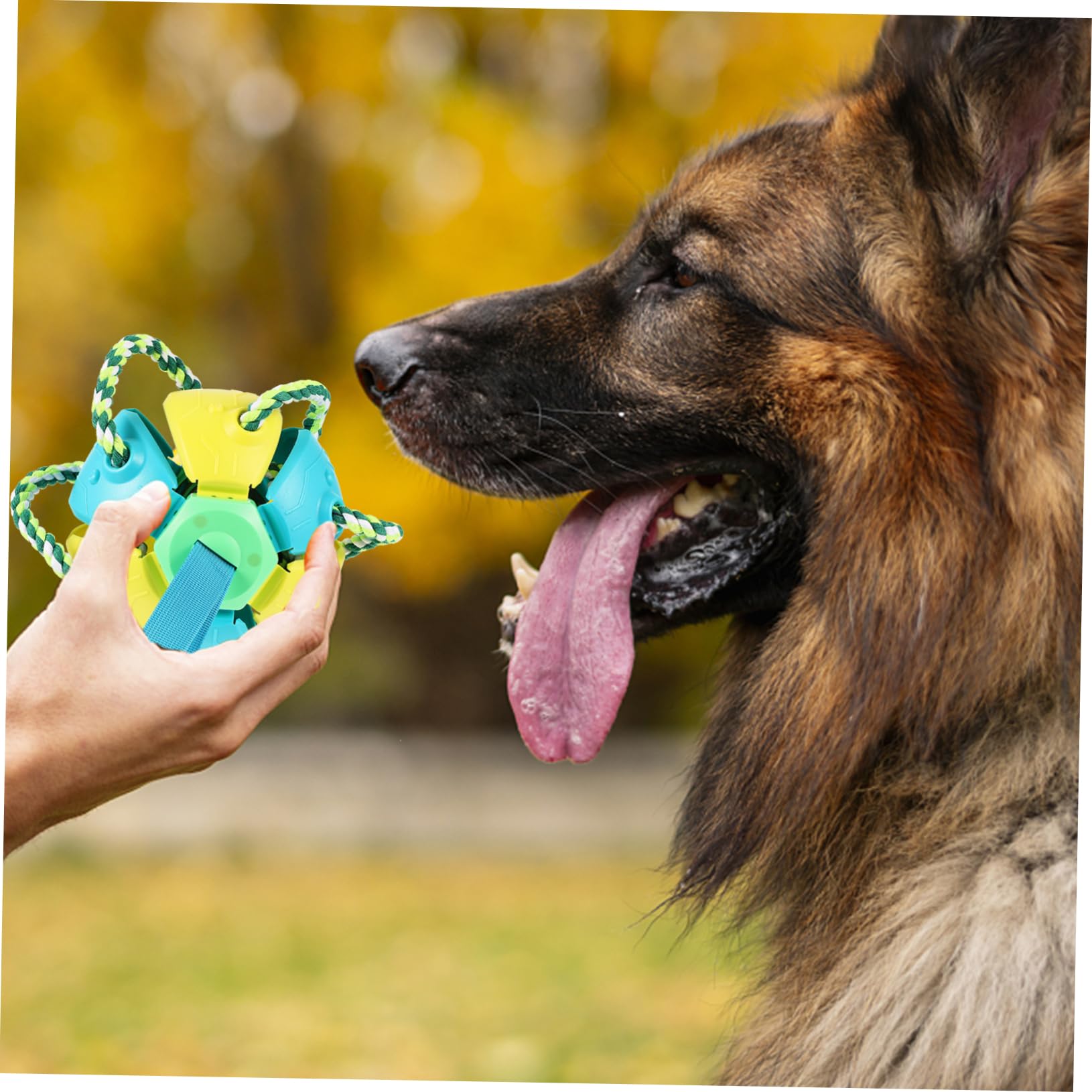 Hunde Wurfball Spielzeug für Draußen, Interaktiv, 1 Stück, Kunststoff