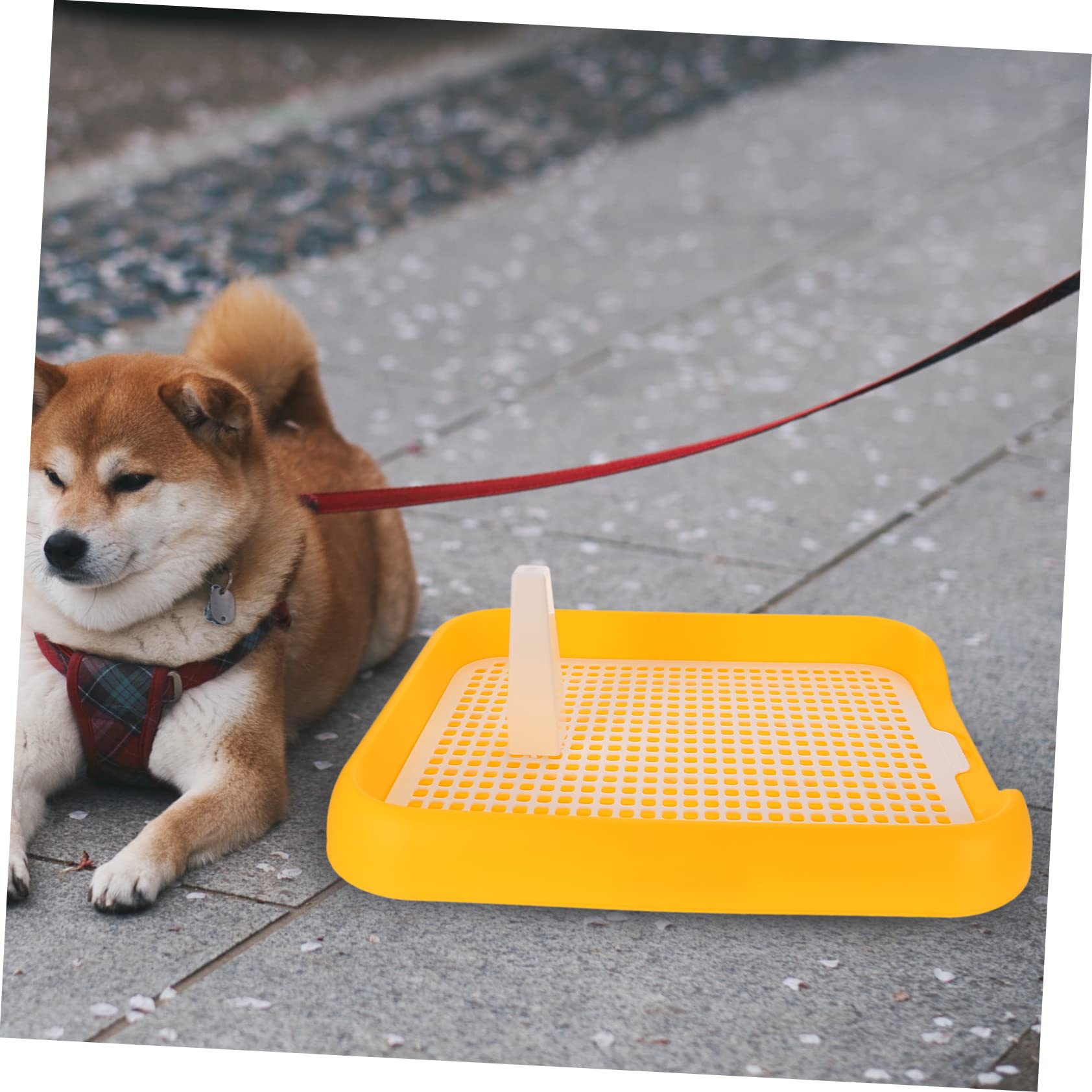 Amazon | minkissy 子犬用 室内トイレトレーニングに最適な 犬用トイレ