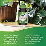Nature's Way Parsley Leaf - Diuretic Support - 450mg Parsley leaf per capsule – Traditional Herbal Carminative & Spasmolytic Aid – Non GMO -100 Vegetarian Capsules