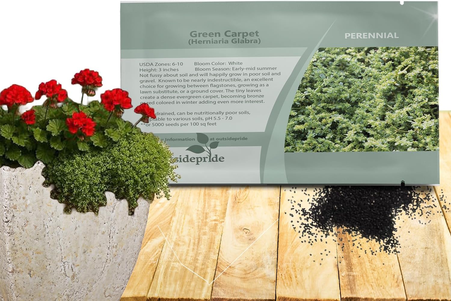 Outsidepride Green Carpet Herniaria Glabra Seeds - 5,000 Pcs Perennial, Drought-Tolerant, Low-Maintenance Ground Cover Seeds for Planting, Hardy Green Carpet for Landscaping & Erosion Control