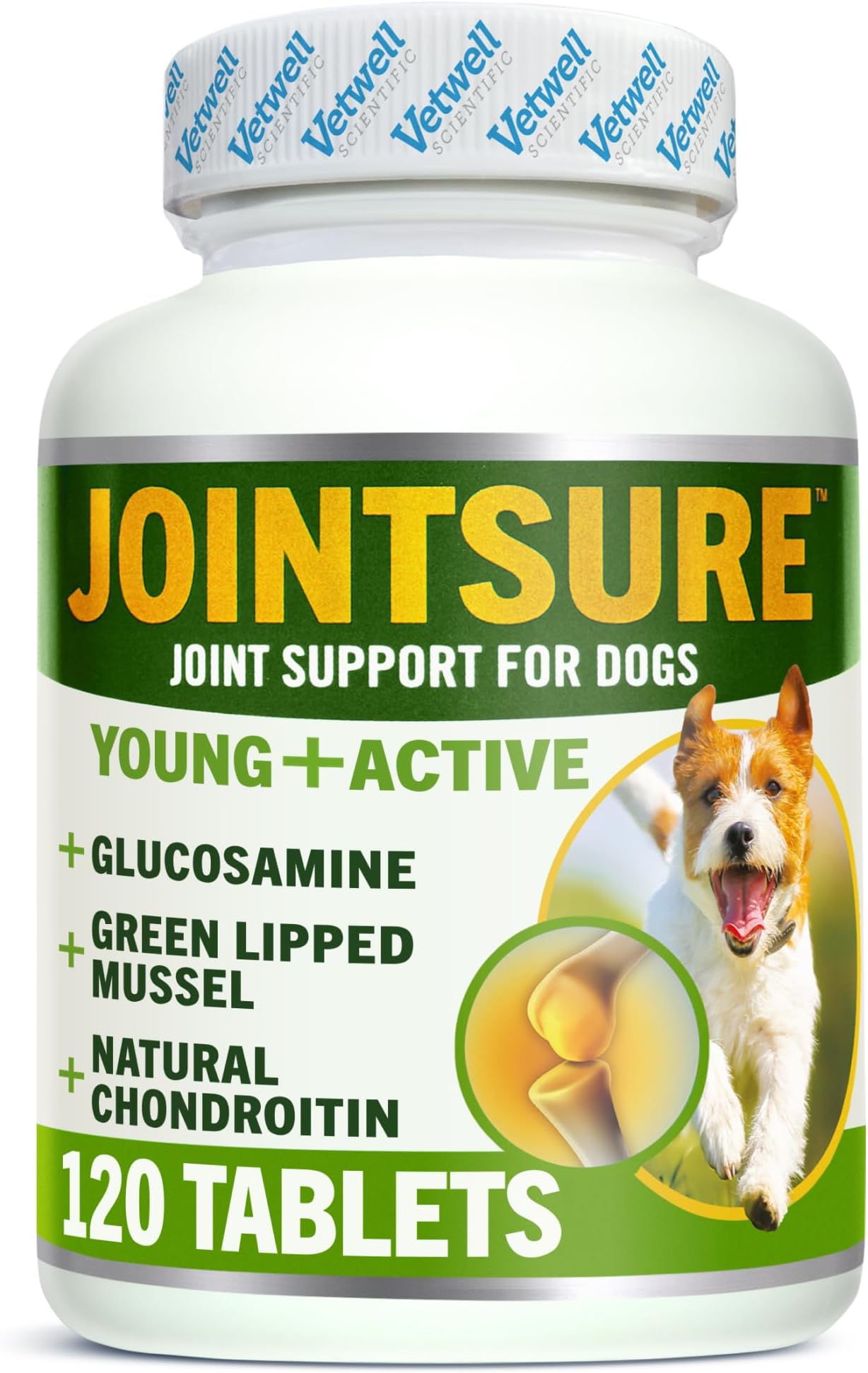 JOINTSURE YOUNG & ACTIVE Joint Supplements for Dogs and Puppies - Pack of 120 Tablets - Supports Mobility and Prevents Joint Stiffness - High Levels of Glucosamine & Green Lipped Mussel