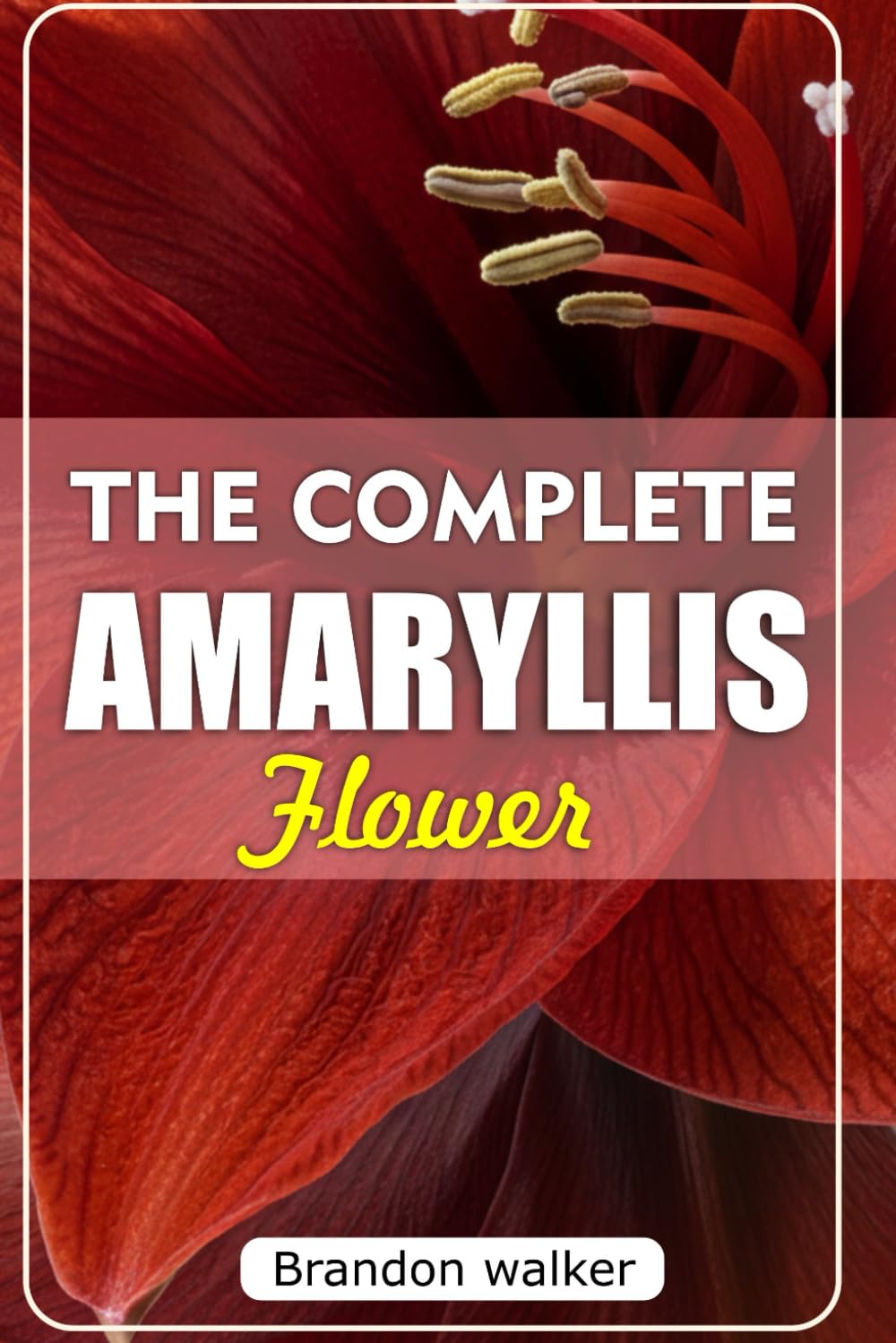 THE COMPLETE AMARYLLIS FLOWERS: The Ultimate Beginner's Guide to Growing, Caring For, and Harvesting Stunning Amaryllis at Home and garden