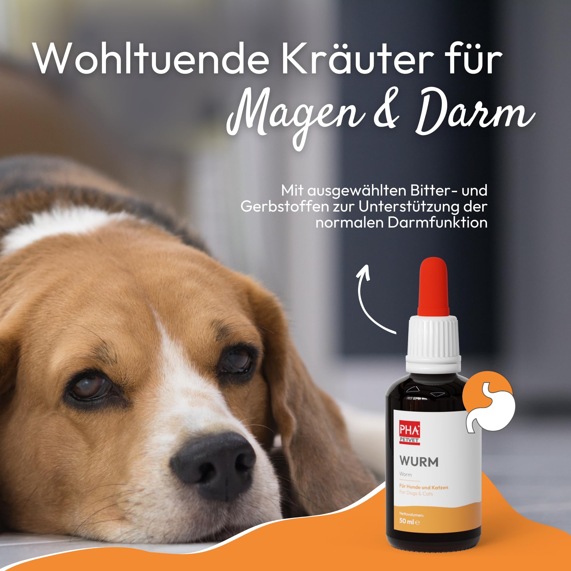 PHA Wurm Tropfen für Hund & Katze - mit Kräutern, Wermut, Schafgabe & Thymian zur natürlichen Darm Unterstützung & Einer normalen Verdauung, 50 ml