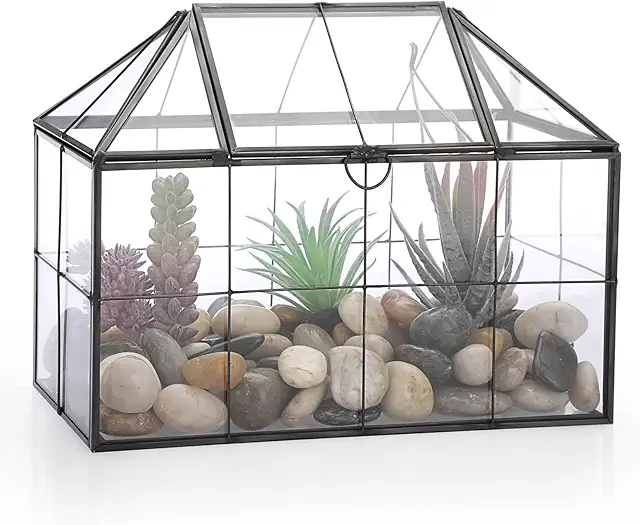 Black Glass Terrarium with Swing Lid - Square Grid Plant Display Box for Succulents & Airplants