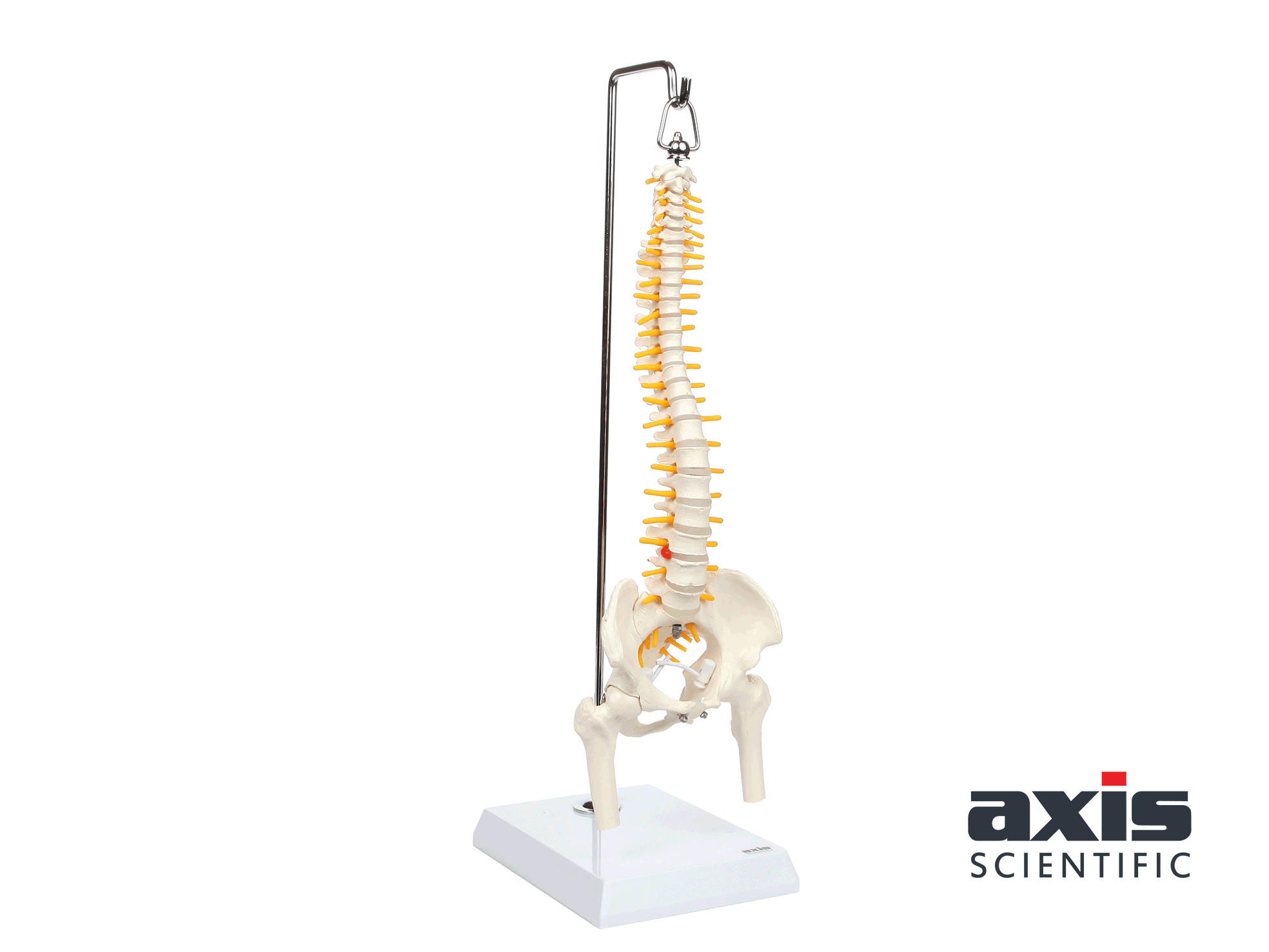 Amazon.com: Axis Scientific 15.5