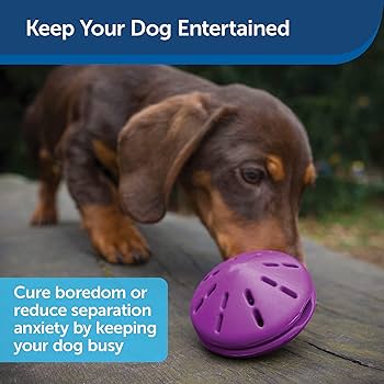 希少　Premier ビジーバディ ツイストントリート (L）犬用おもちゃ　2個 Amazon | Premier ビジーバディ ツイストントリート (L