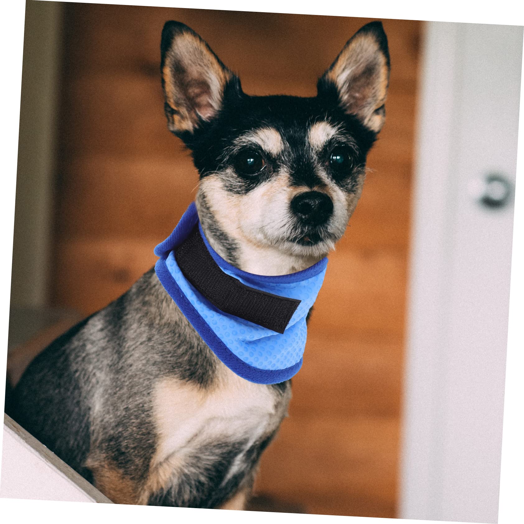 minkissy 4pièces Bandana Réfrigérante pour Chien Écharpe De Refroidissement pour Animaux De Compagnie Accessoire Légèreté pour Promenade Et Activités Extérieures