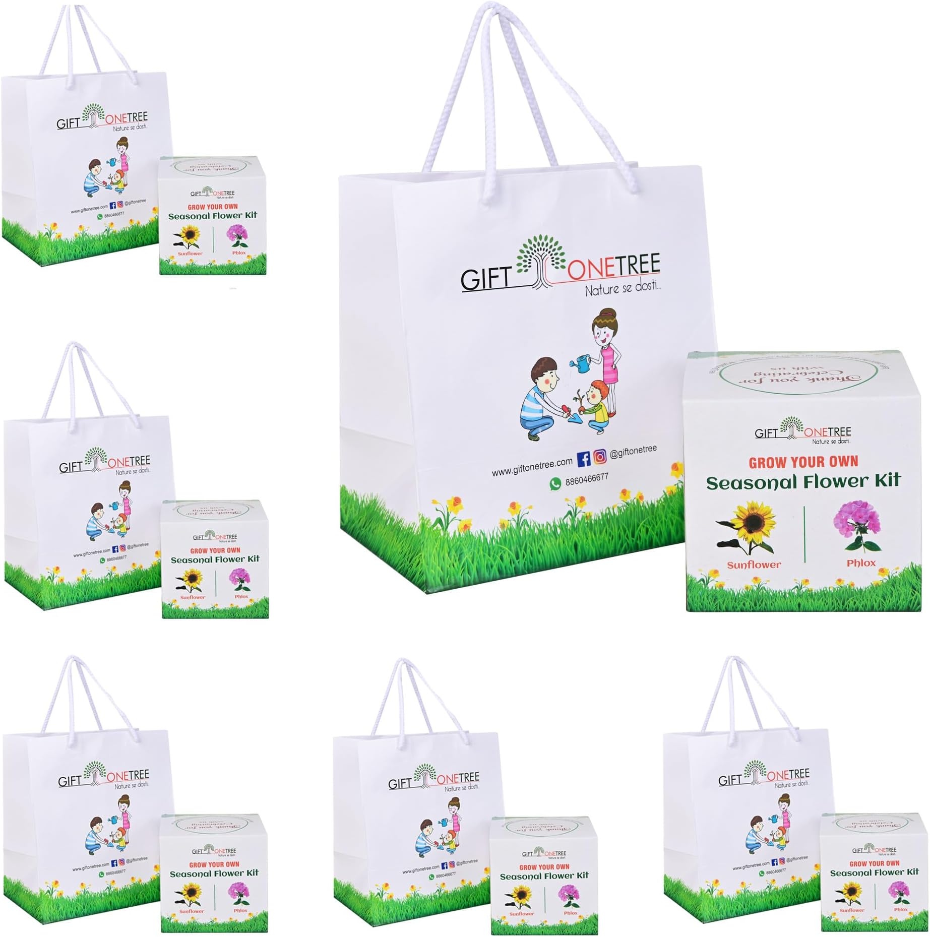 Giftonetree Seasonal Flower Grow Kit - 6 DIY Kit + 6 Gift Bags - Best Return ...