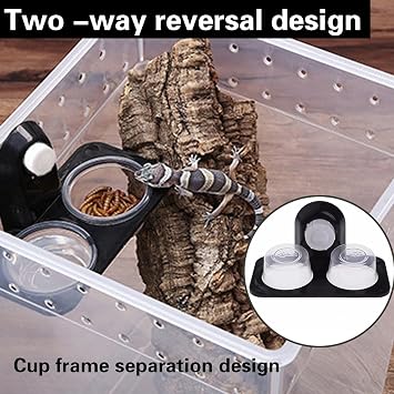2PCS Reptile Feeding Ledge, Double Bowl Suction Cup Feeder | Plastic Gecko Feeding Ledge for Turtle, Lizard and Iguana, Hanging Reptile Food Bowl with Strong Suction Cups