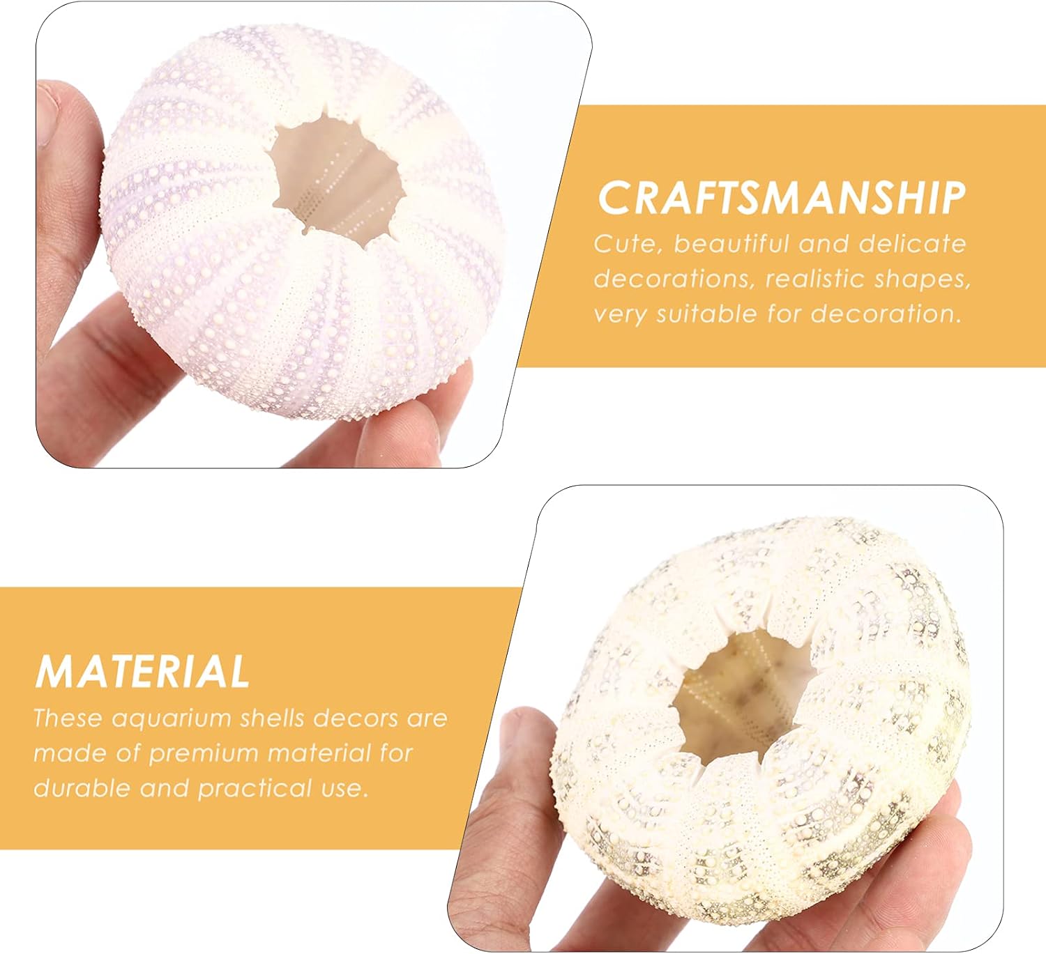 DOITOOL 6 Pack Natural Sea Urchins Shells Decor, Sea Urchin Shells for Craft and Home Decor, , Sea Theme Party, Assorted Colors