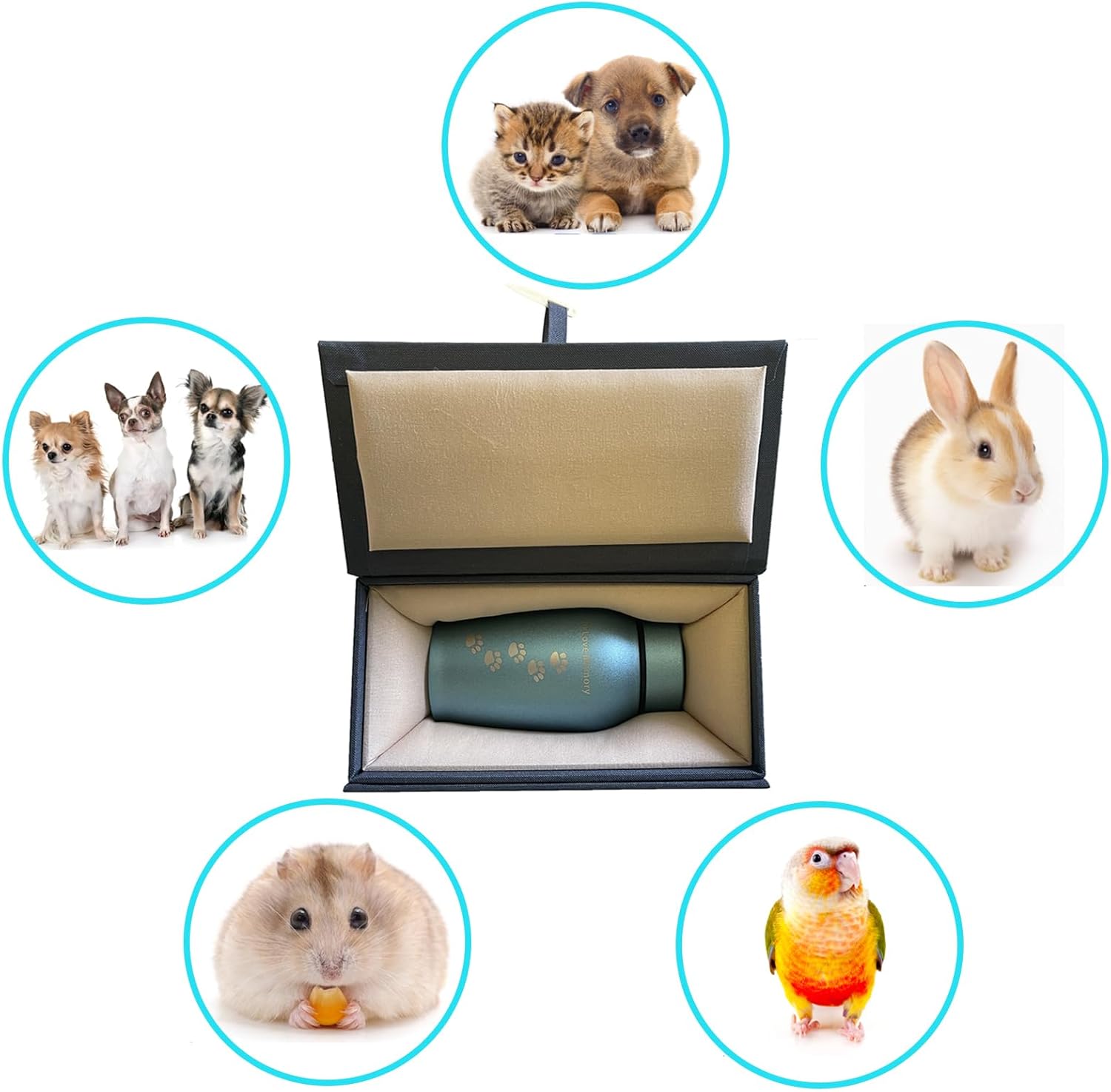 Pet Urn for Dogs and Cats Ashes, Loving Pet Ashes Keepsake, Vase Style Cremation Urns for Cats, Dog Urns Square (Blue) - Image 2