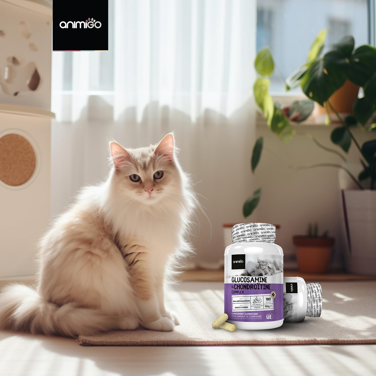 Glucosamine Chondroïtine Chien & Chat -180 Gélules avec Vitamine C, Curcuma, Gingembre, Églantier - sans Odeur, Anti Inflammatoire, Aide d'arthrose, Cartilage, Os, Souplesse, Chondroprotecteur