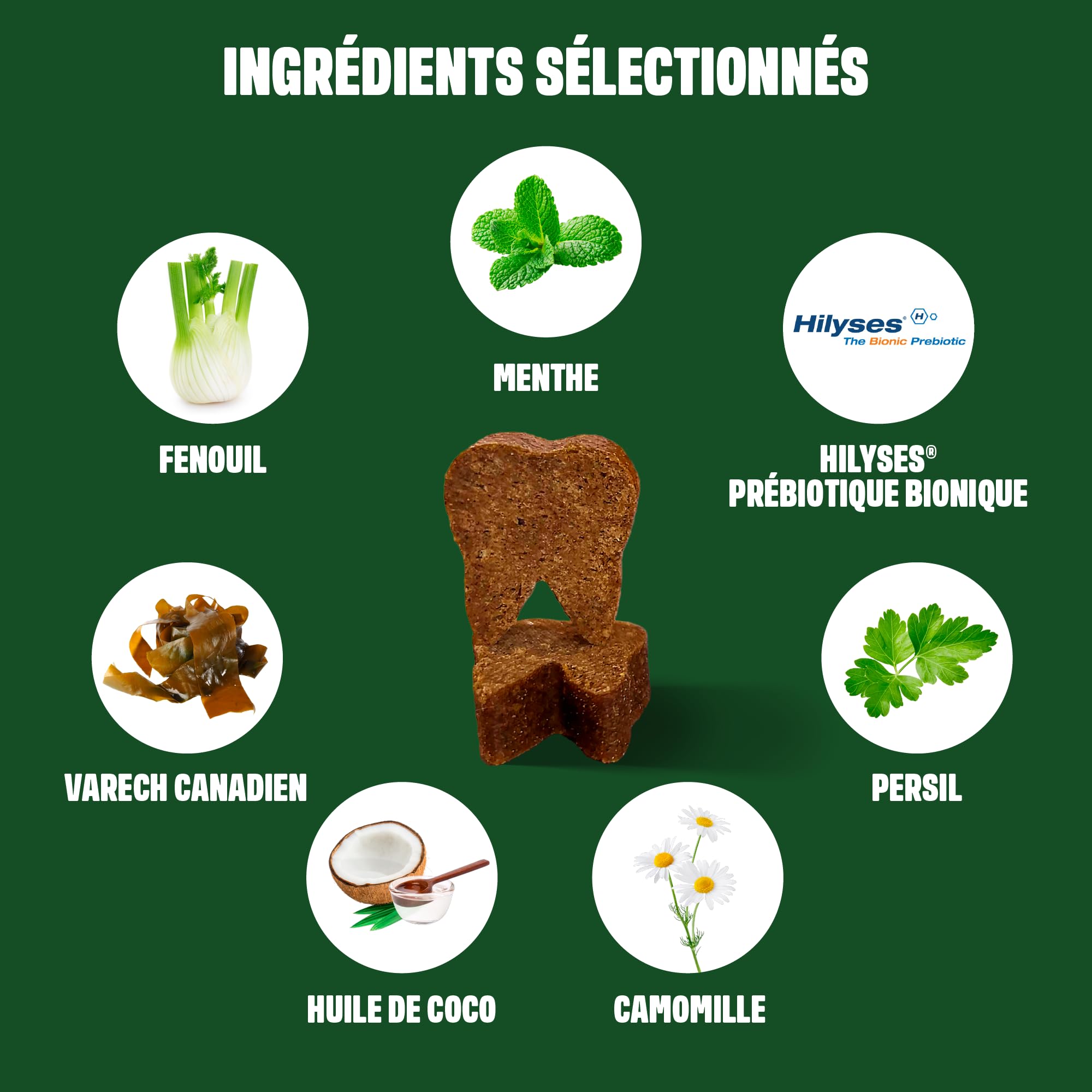 ivvi Snacks d'Hygiène Dentaire pour Chiens, 60 Snacks avec Poulet | Avec Menthe, Persil, Fenouil, Camomille, Huile de Coco, Algues Brunes, Favorise Dents Saines, Haleine Fraîche, Anti Tartre