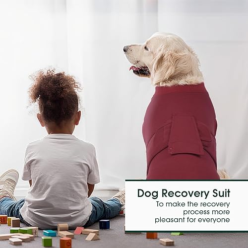 Miniatura 88 de Kuoser Traje de recuperación para perros y gatos después de la cirugía, camisa profesional de recuperación de mascotas, vendajes para heridas
