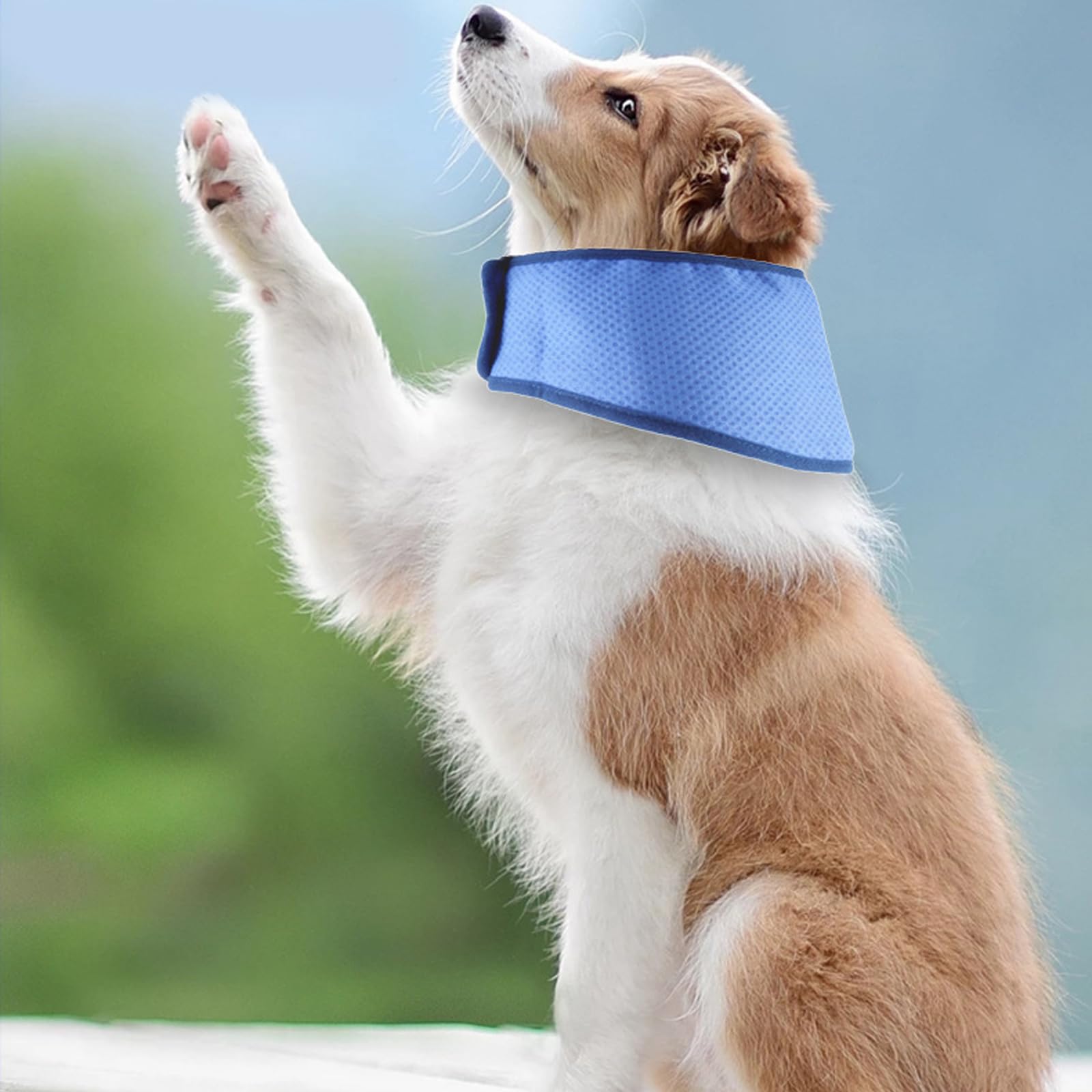 8 Stück Kühlendes Hundehalsband Für Hunde, Kühlhalsband Für Hunde, EIS, Hundehalstuch, Sofort Kühlende Halstücher Für Hunde, Kühlendes Hundehalsband, Kühlende Halstücher