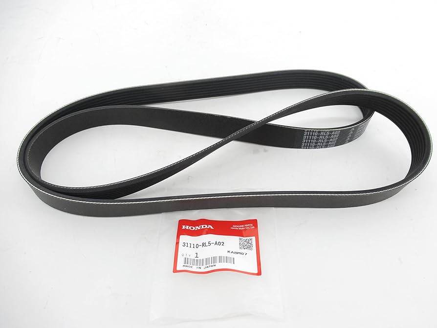 Amazon.com: Acura 31110-RL5-A02 Serpentine Belt : Automotive
