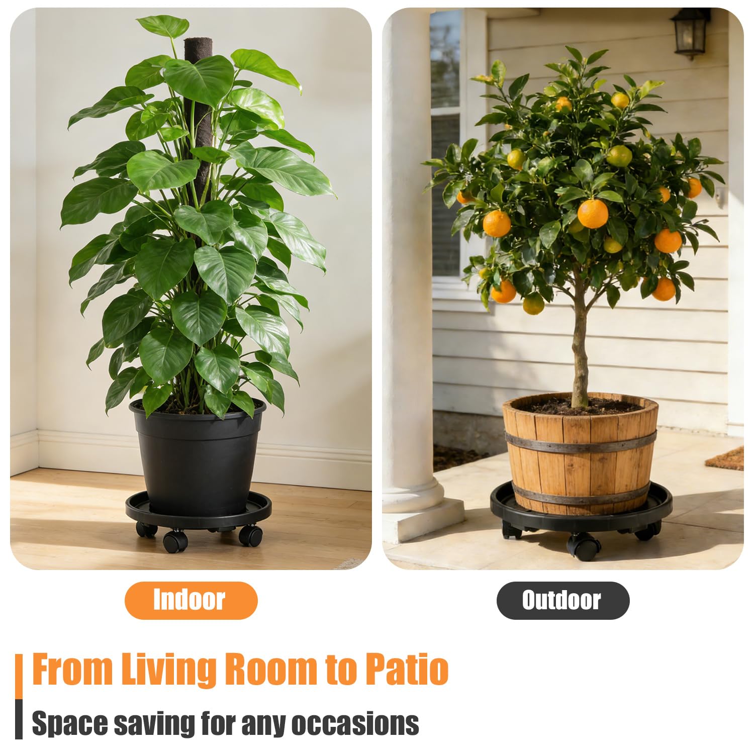 Large Rolling Plant Caddy - Easy Plant Moving -6
